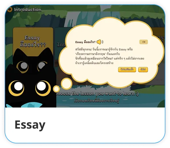 Essay