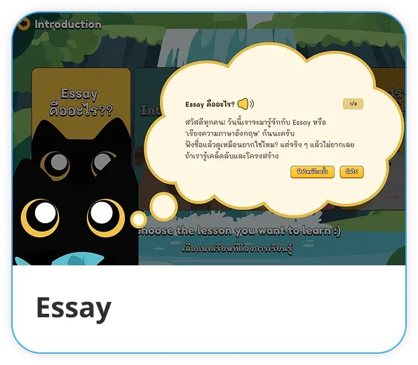 Essay
